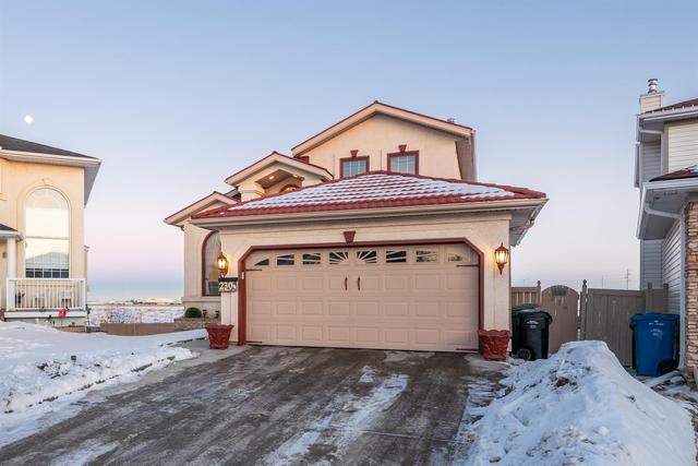 230 Coral Springs Place Ne, House detached with 5 bedrooms, 3 bathrooms and 4 parking in Calgary AB | Image 37