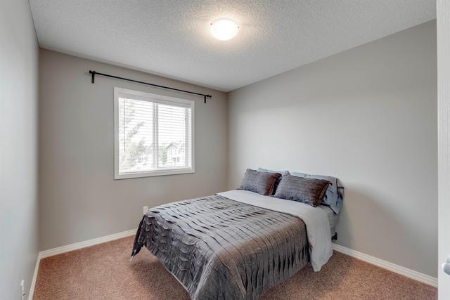146 Cranford Close Se, House detached with 3 bedrooms, 2 bathrooms and 2 parking in Calgary AB | Image 24