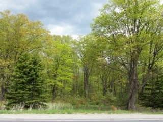35 Highway, House other with 0 bedrooms, null bathrooms and null parking in Kawartha Lakes ON | Image 1