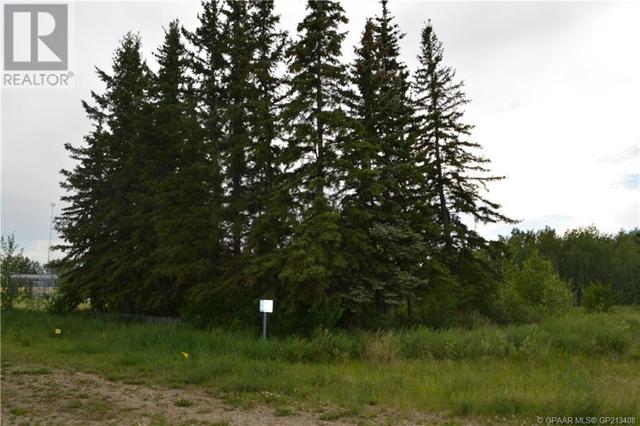 82032 Highway 744, House detached with 1 bedrooms, 1 bathrooms and 25 parking in Northern Sunrise County AB | Image 4