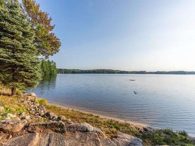 7 - 1363 Juddhaven Rd, House detached with 7 bedrooms, 5 bathrooms and 12 parking in Muskoka Lakes ON | Image 3
