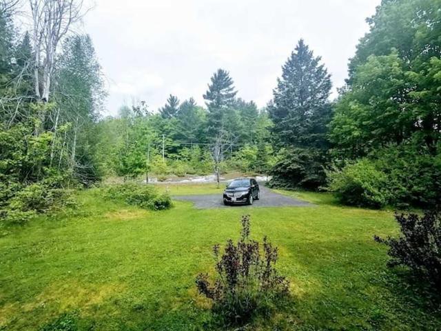 8403 Hwy 28, House detached with 3 bedrooms, 1 bathrooms and 8 parking in North Kawartha ON | Image 16