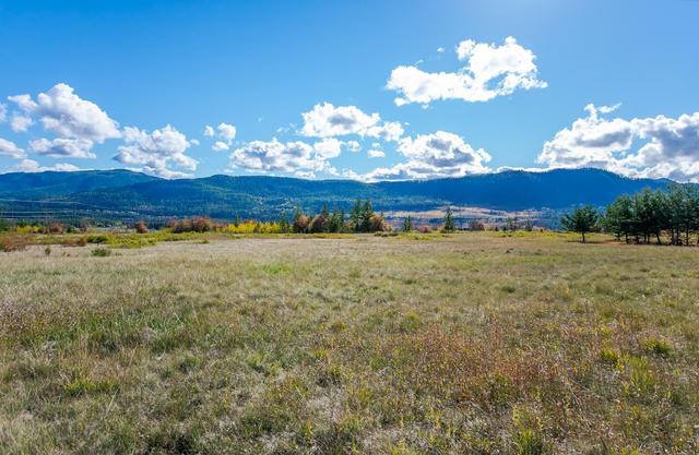 000 Cochrane Road, Home with 0 bedrooms, 0 bathrooms and null parking in North Okanagan E BC | Image 3