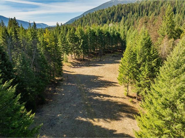 2621 Highway 3a, House detached with 2 bedrooms, 1 bathrooms and null parking in Central Kootenay I BC | Image 20