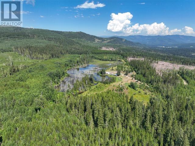 650 Trinity Valley Road, House detached with 3 bedrooms, 1 bathrooms and 10 parking in North Okanagan D BC | Image 48