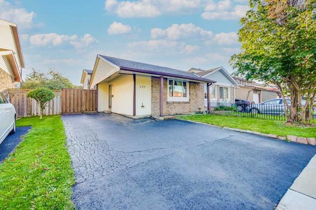 259 Hansen Rd N, House semidetached with 3 bedrooms, 1 bathrooms and 3 parking in Brampton ON | Image 23