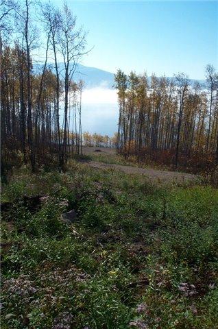 1351 Francois Lake Rd, House detached with 3 bedrooms, 1 bathrooms and 12 parking in Bulkley Nechako D BC | Image 7