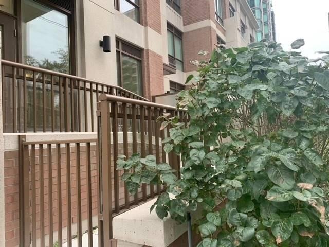 th4 - 310 Tweedsmuir Ave, Home with 2 bedrooms, 3 bathrooms and 1 parking in Toronto ON | Image 34