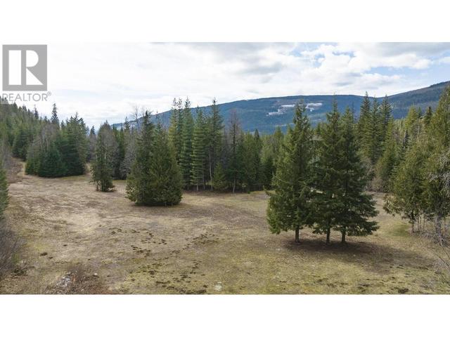 1195 Sugar Lake Road, House detached with 2 bedrooms, 2 bathrooms and 15 parking in North Okanagan E BC | Image 71