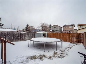 6068 Martingrove Road Ne, House detached with 3 bedrooms, 1 bathrooms and 2 parking in Calgary AB | Image 31