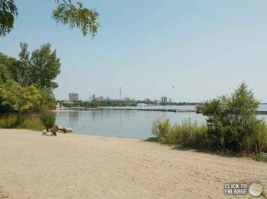 1003 - 1910 Lake Shore Blvd W, Condo with 2 bedrooms, 2 bathrooms and 1 parking in Toronto ON | Image 17