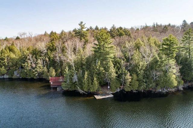 1409 West Oxbow Lake Rd, House detached with 3 bedrooms, 1 bathrooms and 4 parking in Lake of Bays ON | Image 9