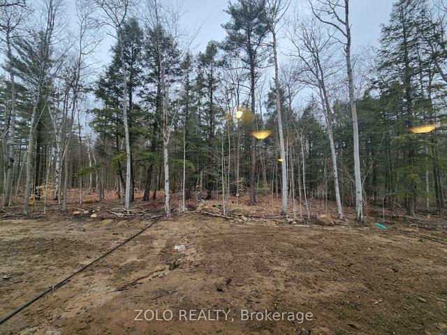 455 Beechwood Forest Lane, House detached with 4 bedrooms, 3 bathrooms and 4 parking in Gravenhurst ON | Image 13