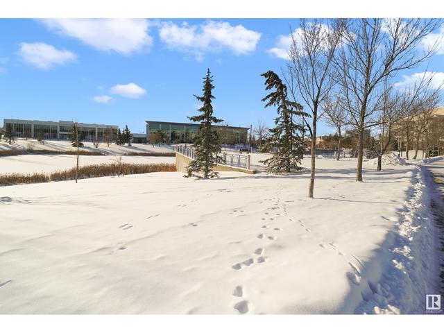 231 - 2520 50 St Nw, Condo with 2 bedrooms, 1 bathrooms and 1 parking in Edmonton AB | Image 38