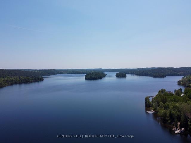 59 White Bear Crt, House detached with 4 bedrooms, 2 bathrooms and 12 parking in Temagami ON | Image 29