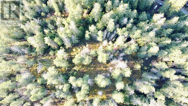 Aerial of the possible House site | Image 37