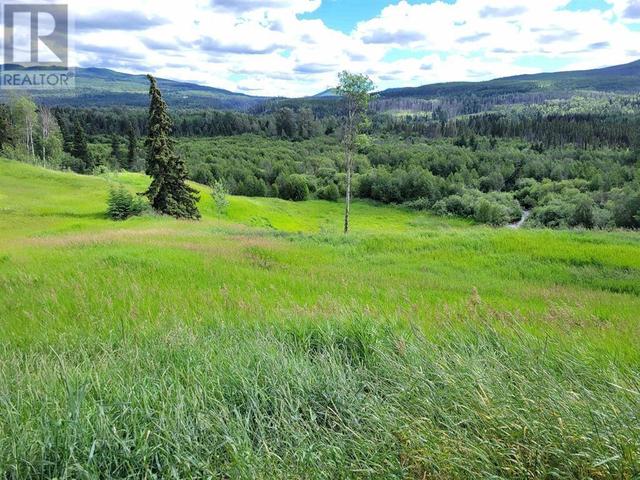 10523 Nithi Pit Road, House detached with 3 bedrooms, 1 bathrooms and null parking in Bulkley Nechako D BC | Image 28
