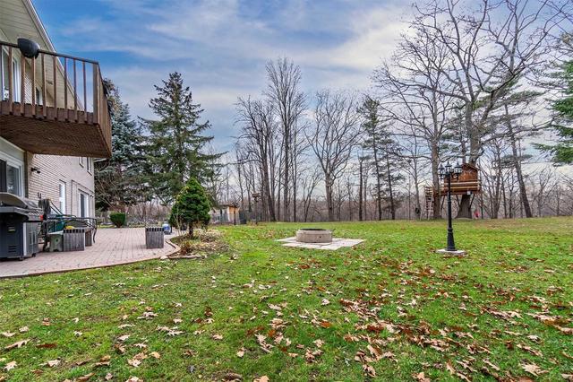 16 Forest Path Crt, House detached with 5 bedrooms, 3 bathrooms and 4 parking in Toronto ON | Image 31