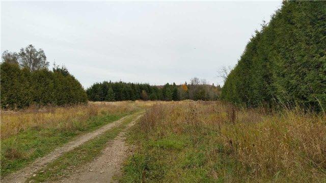 lt #12 - lot 17 4th Line, Home with 0 bedrooms, 0 bathrooms and null parking in Melancthon ON | Image 7