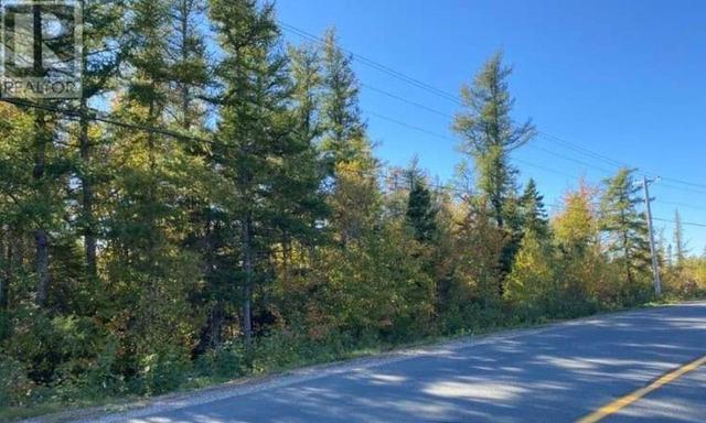 lot 971 Route 117, Home with 0 bedrooms, 0 bathrooms and null parking in Carleton NB | Image 2