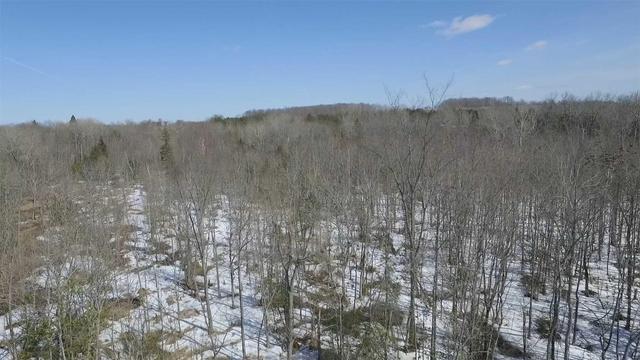0 Birch Point Rd, Home with 0 bedrooms, null bathrooms and null parking in Kawartha Lakes ON | Image 5