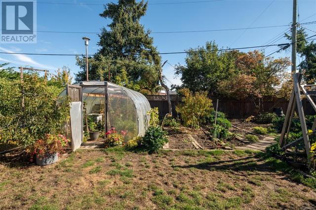 Backyard greenhouse | Image 34