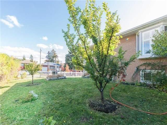 56 Ascolda Blvd, House detached with 3 bedrooms, 2 bathrooms and 2 parking in Toronto ON | Image 20