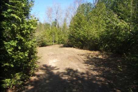 lot 36 Sideroad 35, Home with 0 bedrooms, 0 bathrooms and null parking in Grey Highlands ON | Image 1