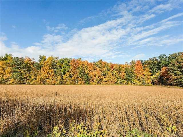 Lot 10 - 6011 Willowgrove Tr, Home with 0 bedrooms, null bathrooms and null parking in Burlington ON | Image 9
