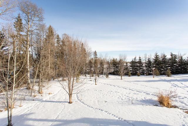 382011 Rge Rd 4 5, House detached with 4 bedrooms, 2 bathrooms and null parking in Clearwater County AB | Image 30