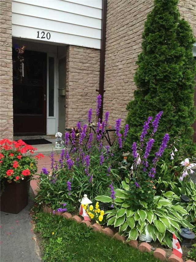 120 - 2440 Bromsgrove Rd, Townhouse with 3 bedrooms, 2 bathrooms and 2 parking in Mississauga ON | Image 14