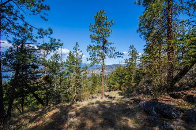 0000 Eastside Road, Home with 0 bedrooms, 0 bathrooms and null parking in Vernon BC | Image 20