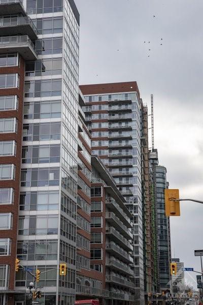 1805 - 179 George Street, Condo with 1 bedrooms, 1 bathrooms and null parking in Ottawa ON | Image 19