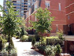 th142 - 415 Jarvis St, Townhouse with 0 bedrooms, 1 bathrooms and null parking in Toronto ON | Image 1