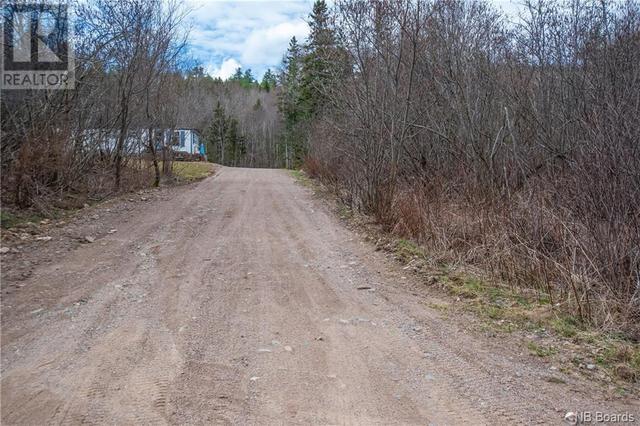 8360 Route 101, House detached with 2 bedrooms, 1 bathrooms and null parking in Petersville NB | Image 9