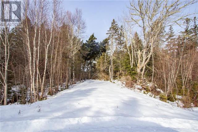 lot 965 Cape Dr, Home with 0 bedrooms, 0 bathrooms and null parking in Botsford NB | Image 6