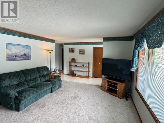 17 - 221009 Twp 850 850 Township, House detached with 3 bedrooms, 3 bathrooms and 8 parking in Northern Lights County AB | Image 4