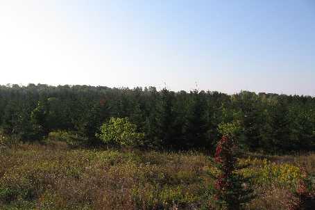 0 Pt Lot 16, Conc 11, Home with 0 bedrooms, 0 bathrooms and null parking in Kawartha Lakes ON | Image 9