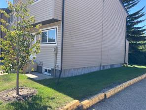 22 - 96 Holmes Street, Home with 3 bedrooms, 1 bathrooms and 1 parking in Red Deer County AB | Image 3