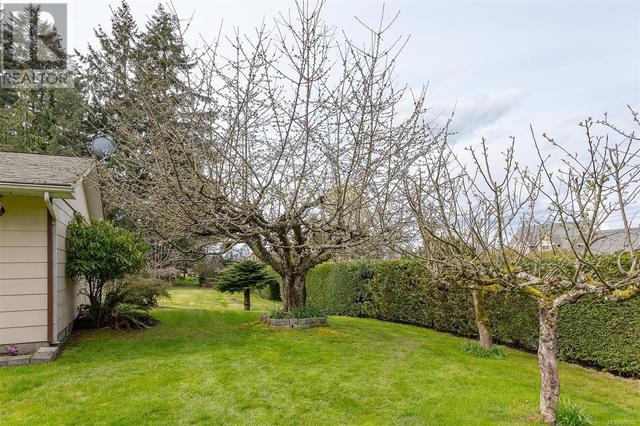 right side of house with mature fruit trees | Image 47