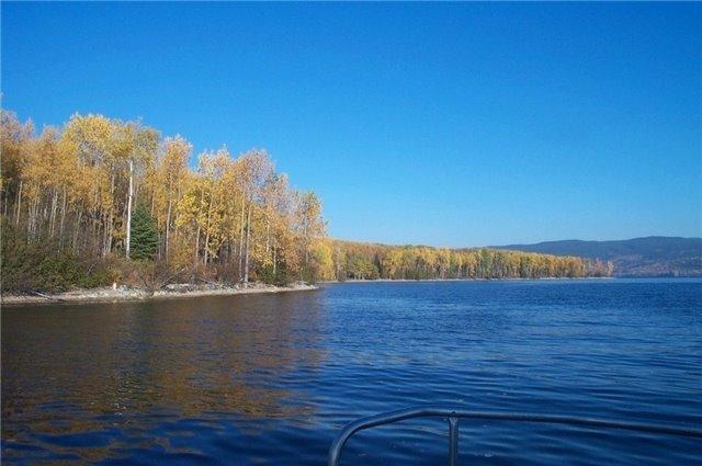 1351 Francois Lake Rd, House detached with 3 bedrooms, 1 bathrooms and 12 parking in Bulkley Nechako D BC | Image 20