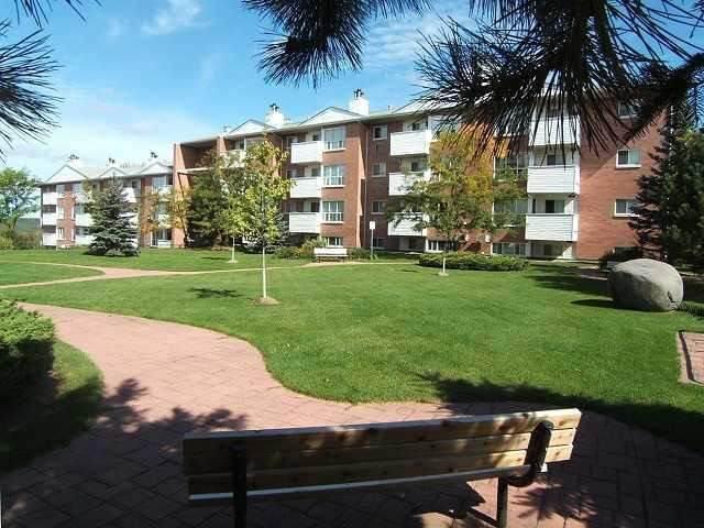306 - 120 Bell Farm Rd, Condo with 1 bedrooms, 1 bathrooms and 1 parking in Barrie ON | Image 1