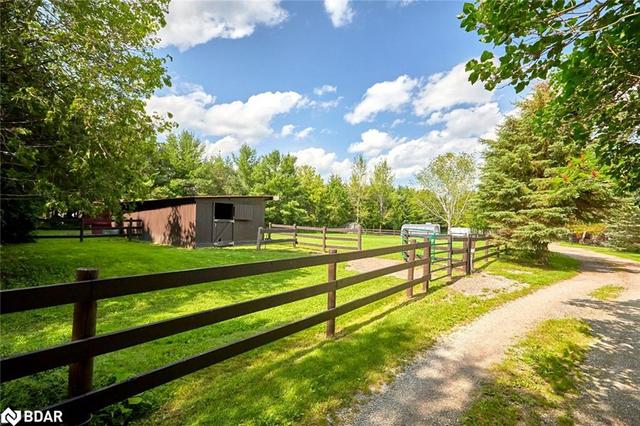 219 Medonte Side Road 2, House detached with 3 bedrooms, 1 bathrooms and 20 parking in Oro Medonte ON | Image 4