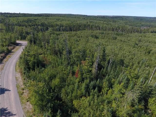 00 Flavelle Twp, Home with 0 bedrooms, null bathrooms and null parking in Timiskaming, Unorganized, West Part ON | Image 19