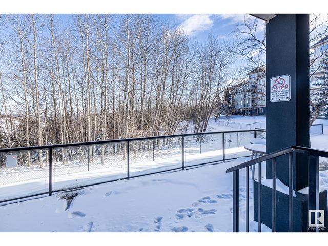 101 - 592 Hooke Rd Nw, Condo with 1 bedrooms, 1 bathrooms and 1 parking in Edmonton AB | Image 31