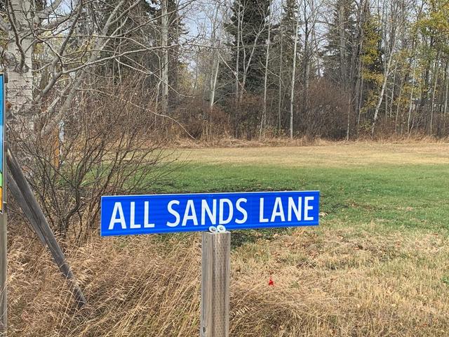 lot 1 19 Peace River Avenue, Home with 0 bedrooms, 0 bathrooms and null parking in Big Lakes County AB | Image 15