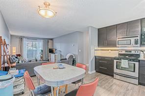 303 - 1917 24a Street Sw, Condo with 2 bedrooms, 1 bathrooms and 1 parking in Calgary AB | Image 5