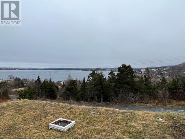 28 Godsells Road, House detached with 3 bedrooms, 2 bathrooms and null parking in Spaniard's Bay NL | Image 29