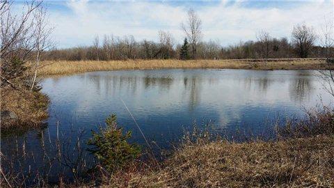 0 4 Line Ne, Home with 0 bedrooms, 0 bathrooms and null parking in Melancthon ON | Image 2