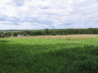 0 Conc 11, Pt Lot 16 Rd, Home with 0 bedrooms, 0 bathrooms and null parking in Kawartha Lakes ON | Image 1